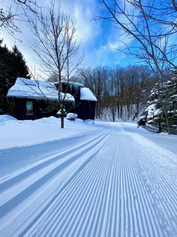 Dafn near perfect corduroy